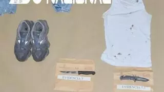 Grave suceso en Oviedo: La Policía Nacional no descarta que haya más implicados en el apuñalamiento del Antiguo