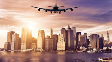 Nueva York va a llenarse de arañas gigantescas