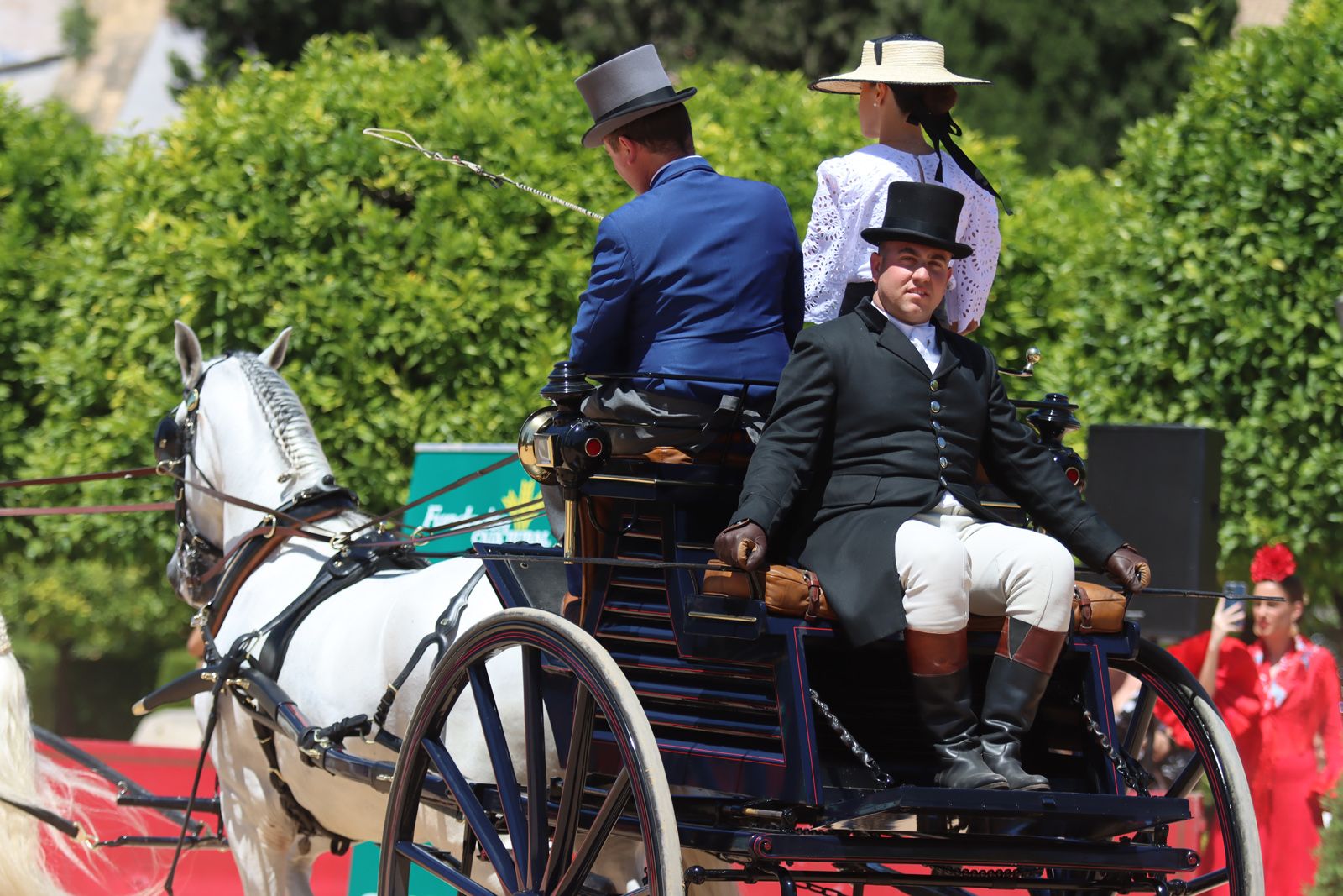 Los coches de caballos lucen su esplendor del Alcázar al Arenal