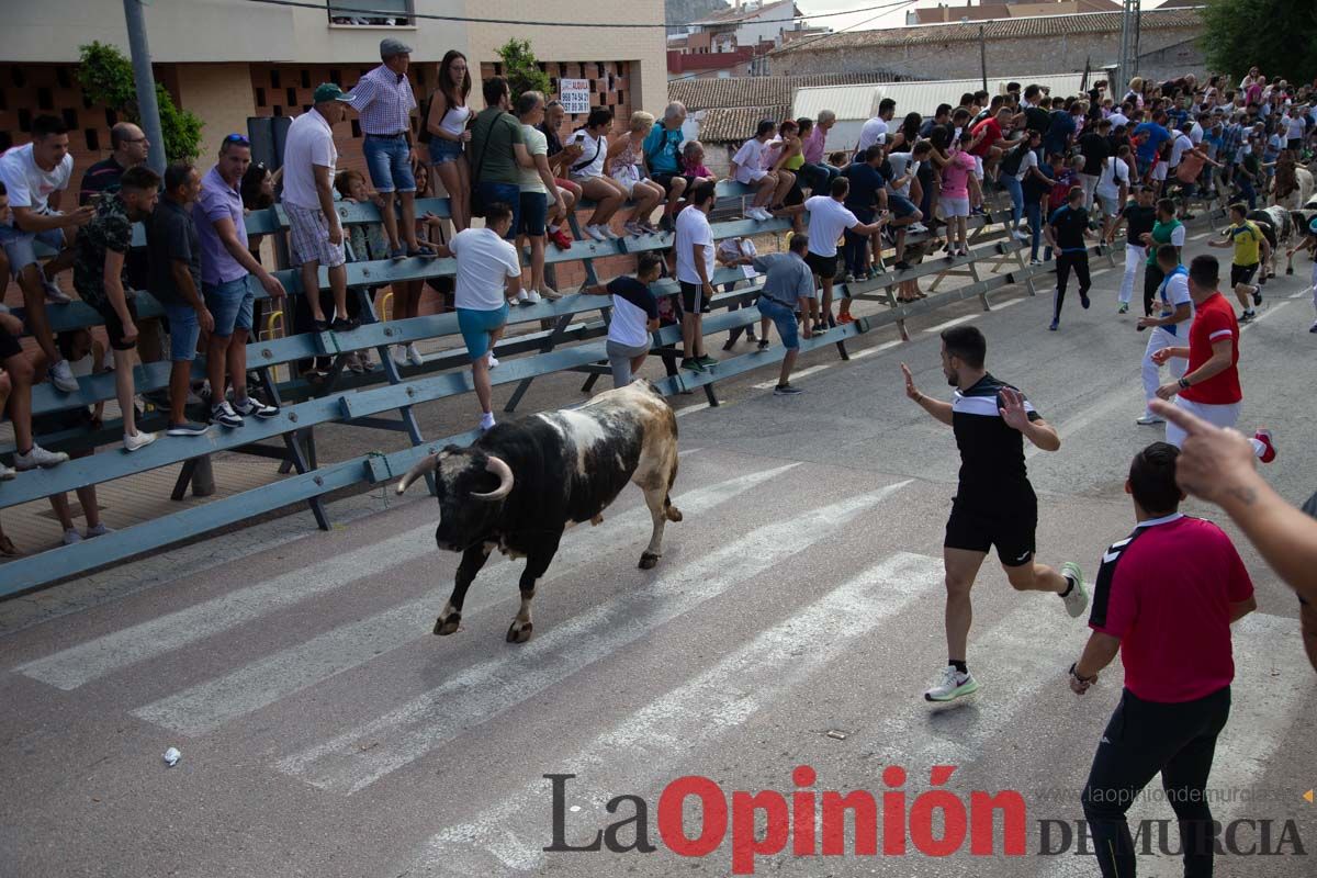 Primer encierro de la Feria del Arroz de Calasparra