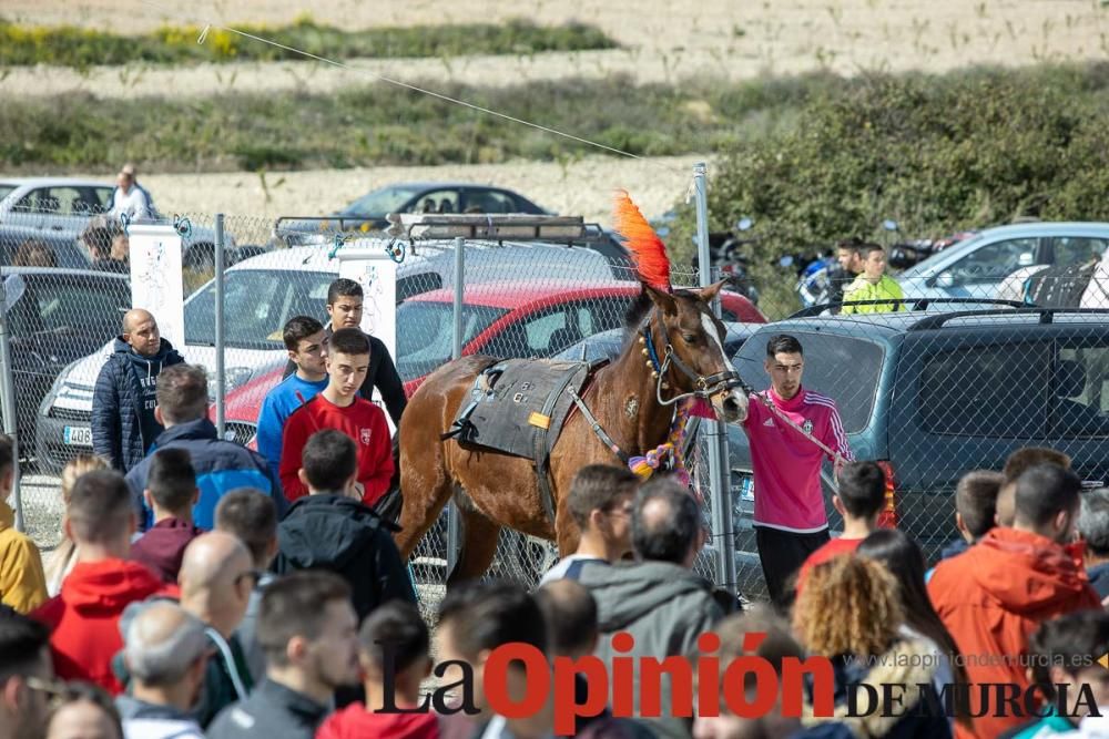 Carrera de entrenamiento de los Caballos del Vino