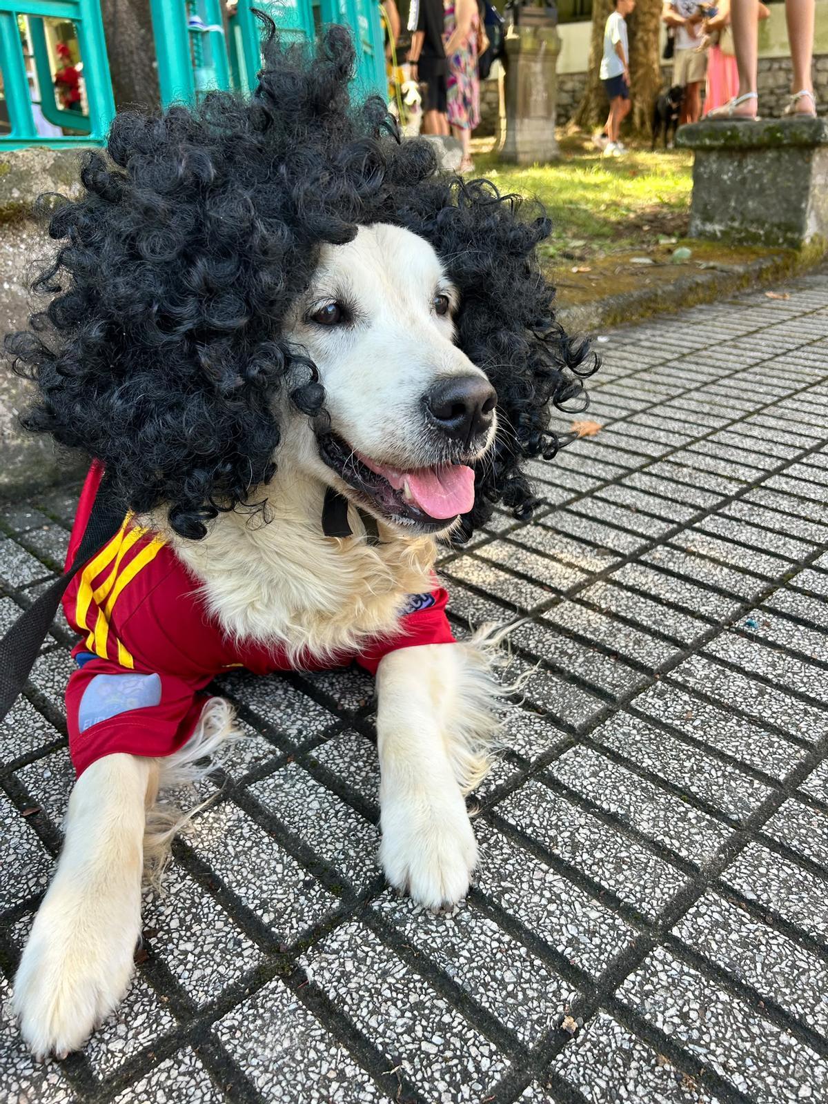 Cucurella, la perra que enamora a Somió