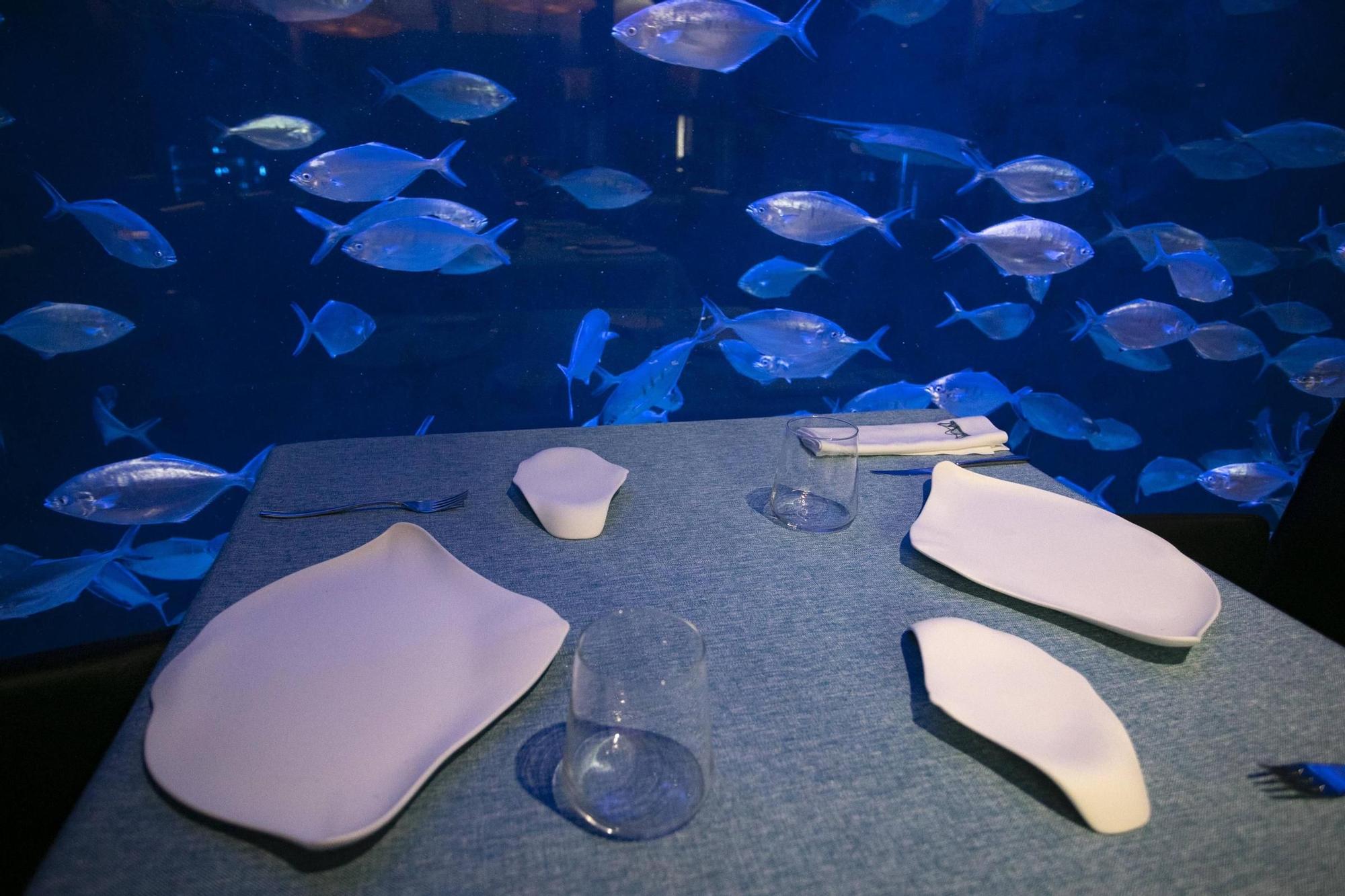 Oceancook, la vajilla creada por la Fundación Oceanogràfic y Cookplay