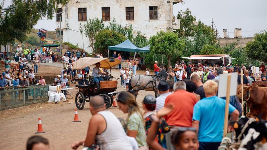 San Antonio suena de Moya a Mogán