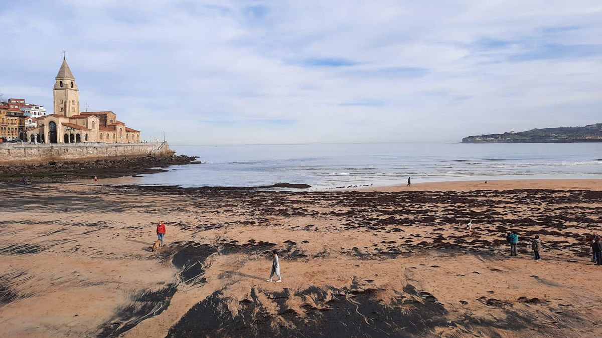 Los Expertos Sobre El Origen En El Musel Del Carbon De La Playa Es Sota Caballo Y Rey La Nueva Espana