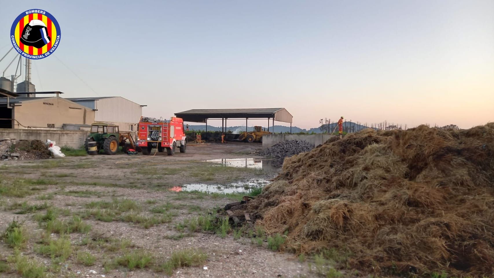 Un incendio en un palmeral afecta a una granja en Xàtiva