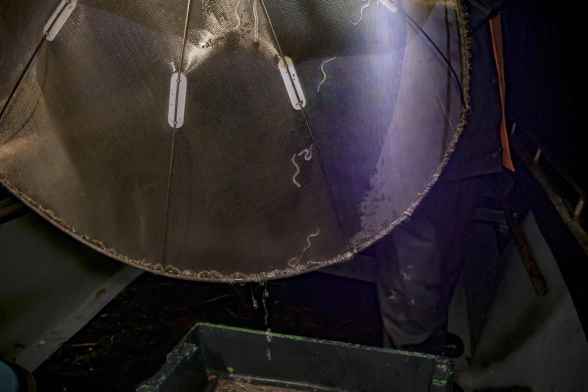 Las solitarias y duras noches de los anguleros de Asturias