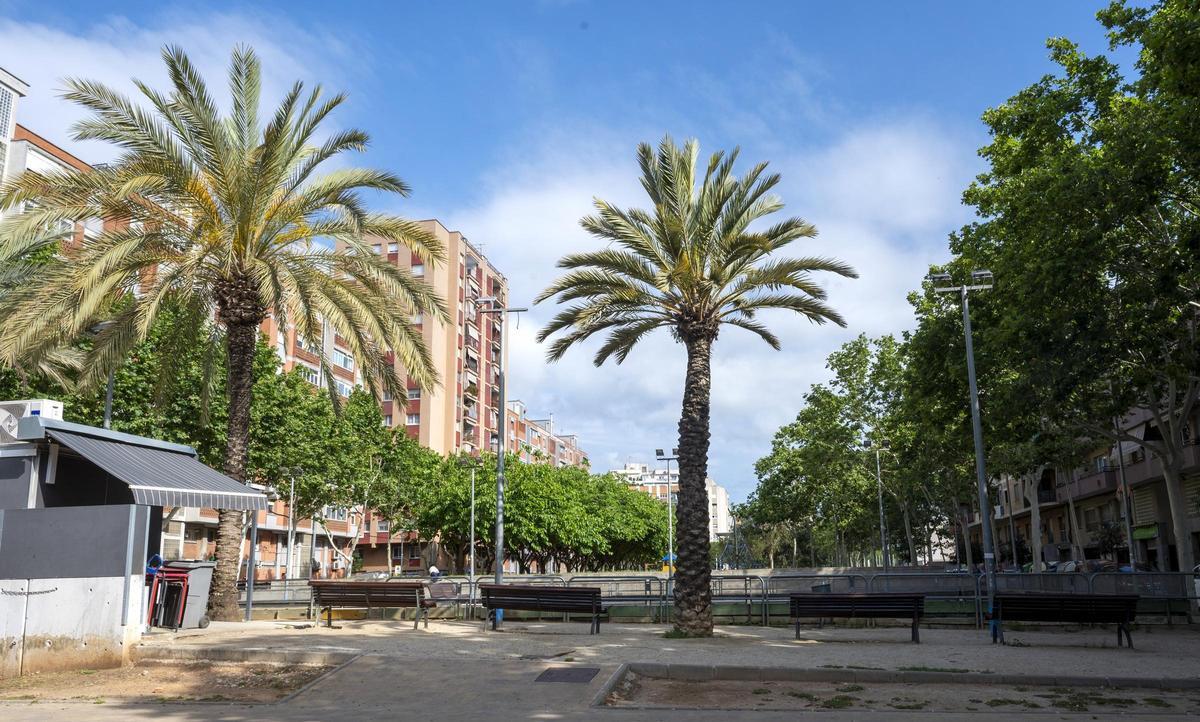 La plaza de las Palmeras de L'Hospitalet.