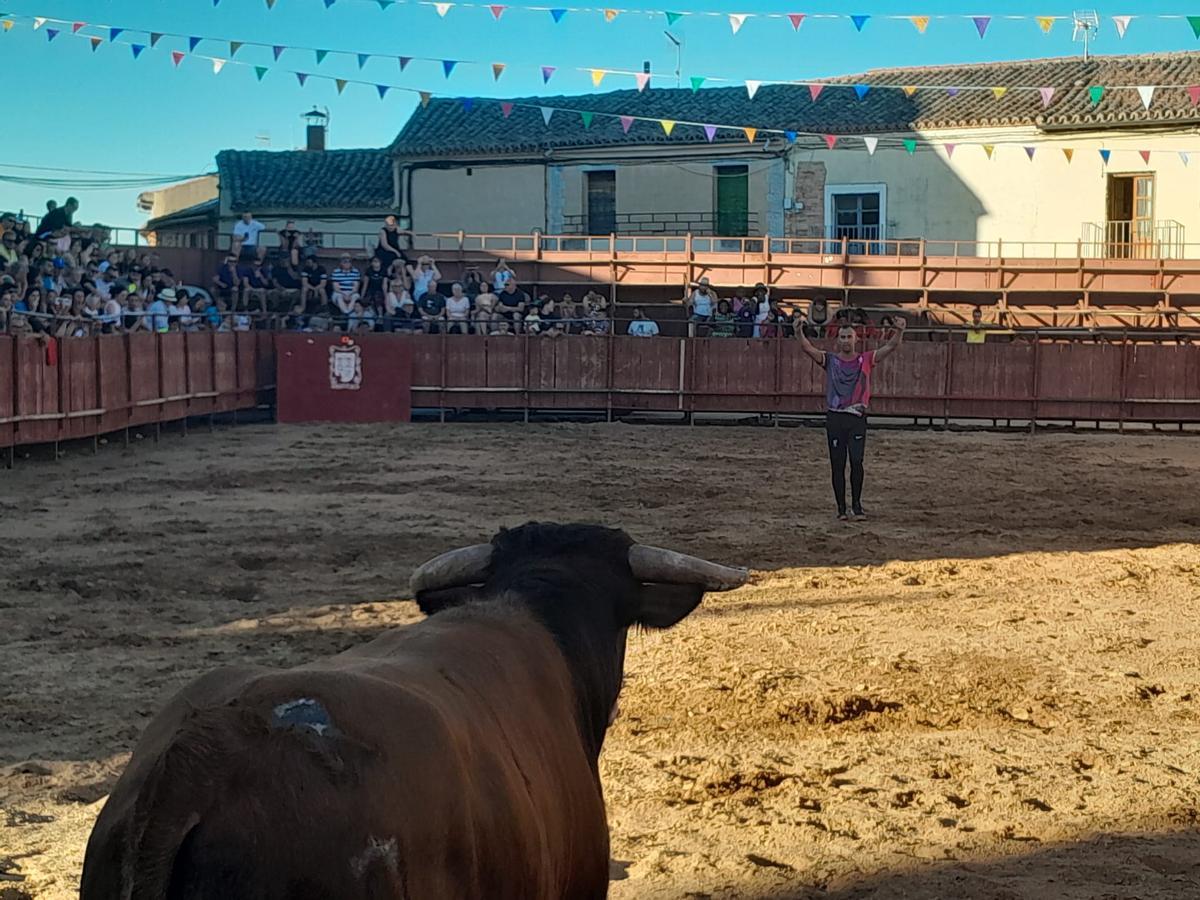 GALERÍA | Exhibición de cortes, quiebros y saltos en Morales de Toro
