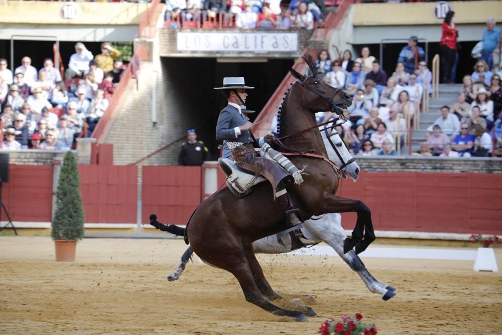 El mundo del caballo contra el cáncer