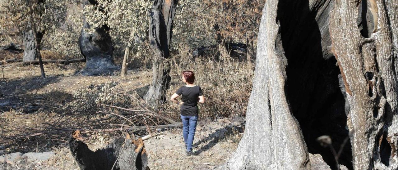 Voluntarios en los montes calcinados de O Courel. |   // CARLOS CATRO