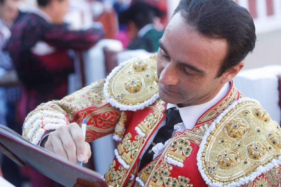 Toros en Zamora