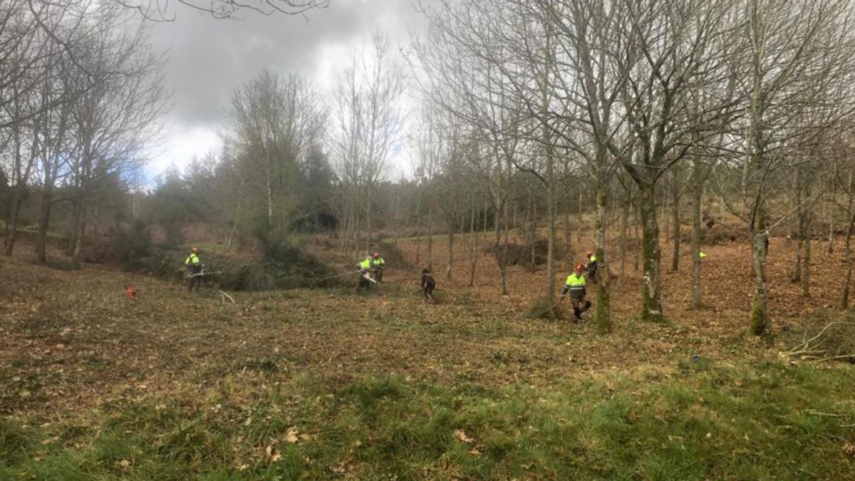 Los operarios realizan trabajos de limpieza y desbroce del monte para habilitar la zona.