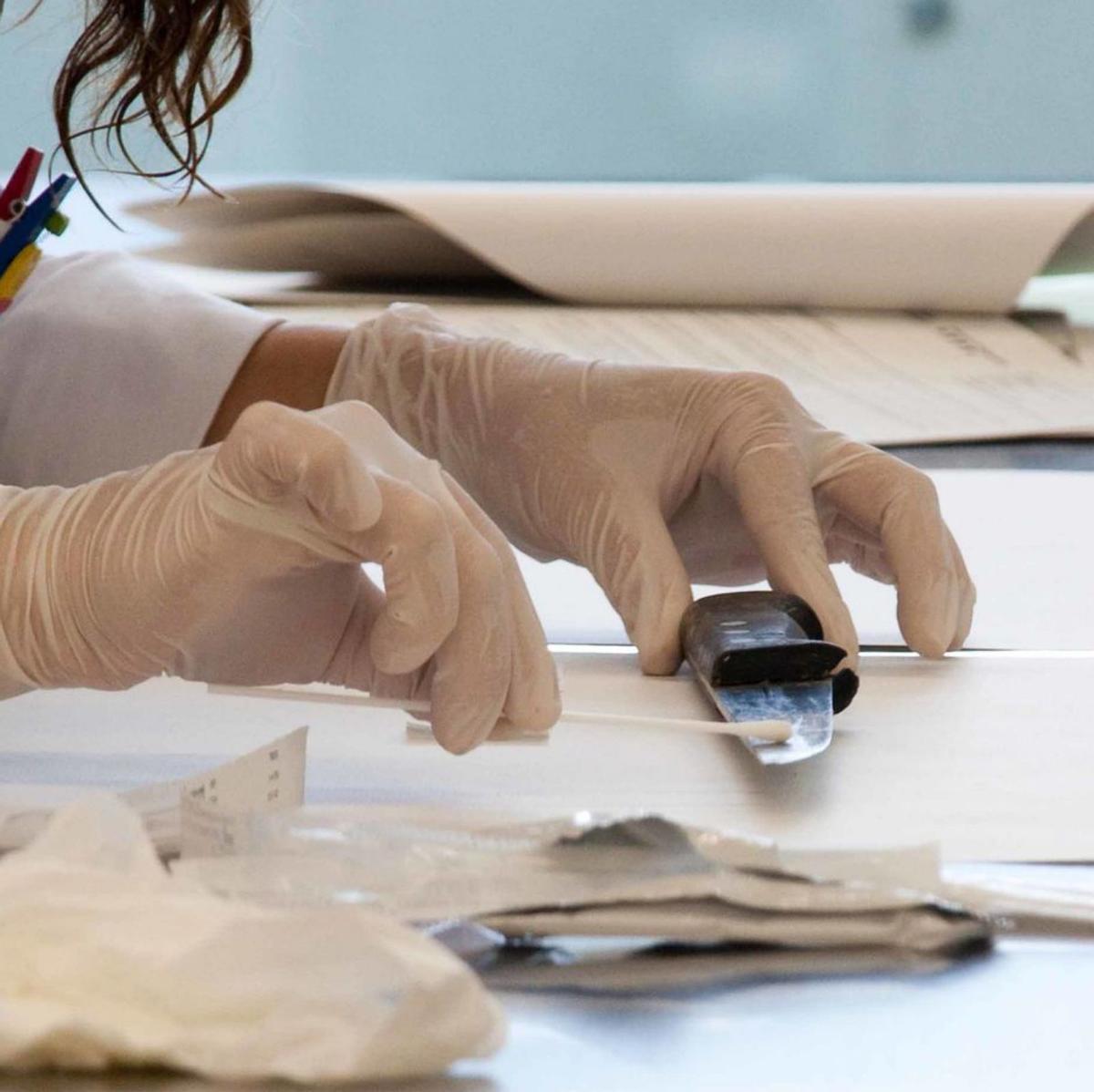 IA per buscar espermatozoides IA per buscar espermatozoides