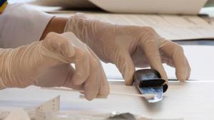 IA per buscar espermatozoides