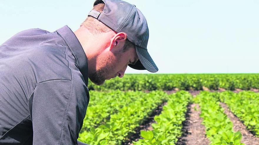 Un agricultor utiliza las últimas tecnologías en el cultivo.