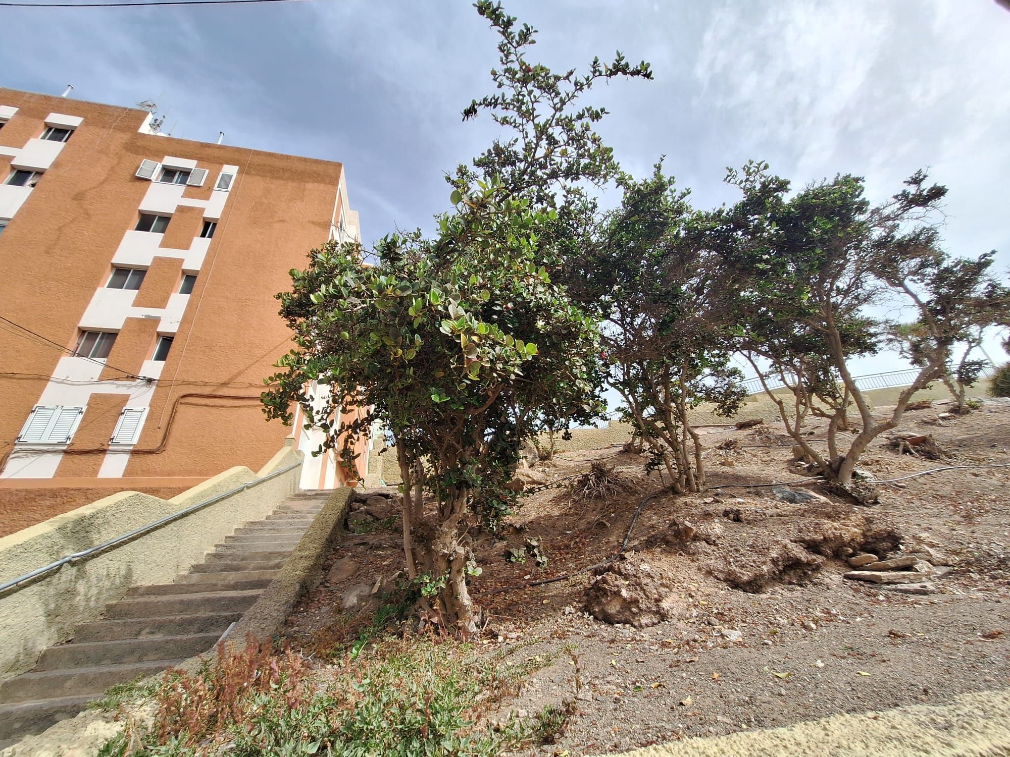 Estado actual de la cancha de Melenara y los alrededores