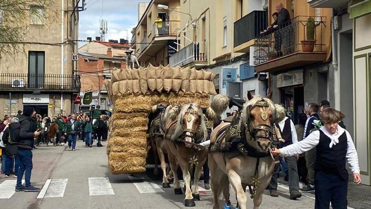 Un dels carruatges participants a la cercavila