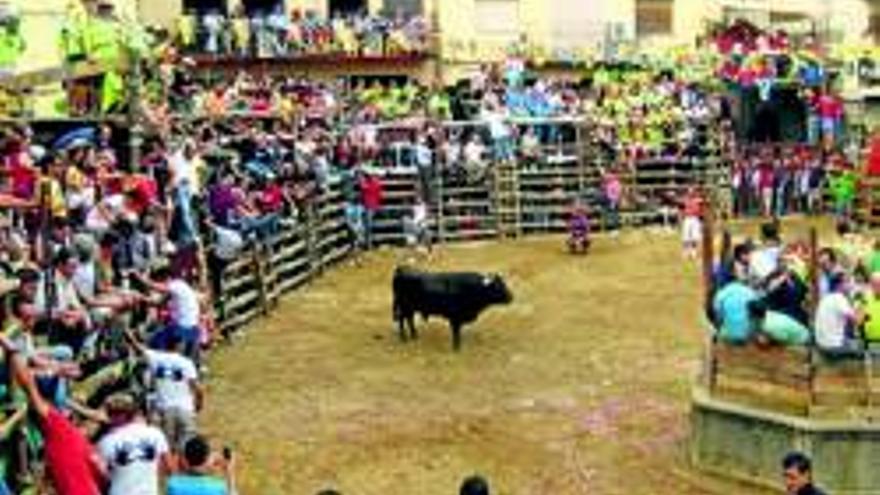 Toros y música para celebrar al Cristo de la Caridad en Jarandilla