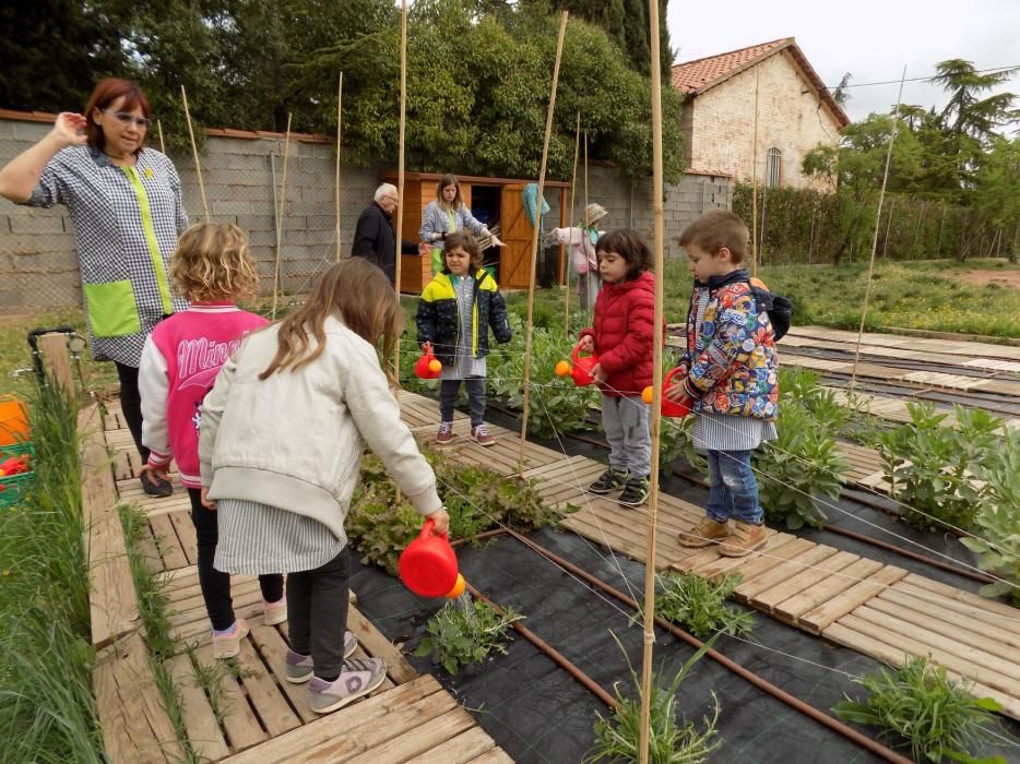 Un hort intergeneracional al pati de l'escola Paidos