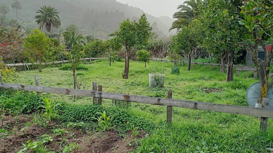 Venta de casa con finca en Gran Canaria