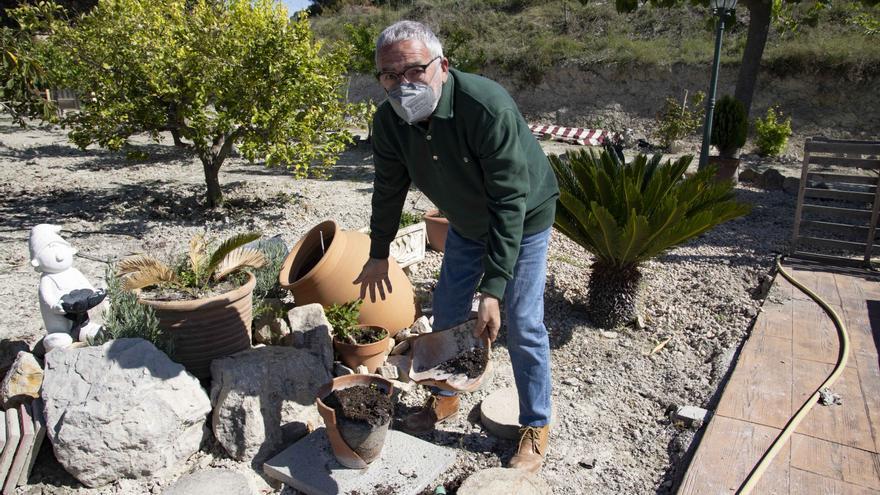 Los jabalíes destrozan parcelas de la urbanización Bixquert