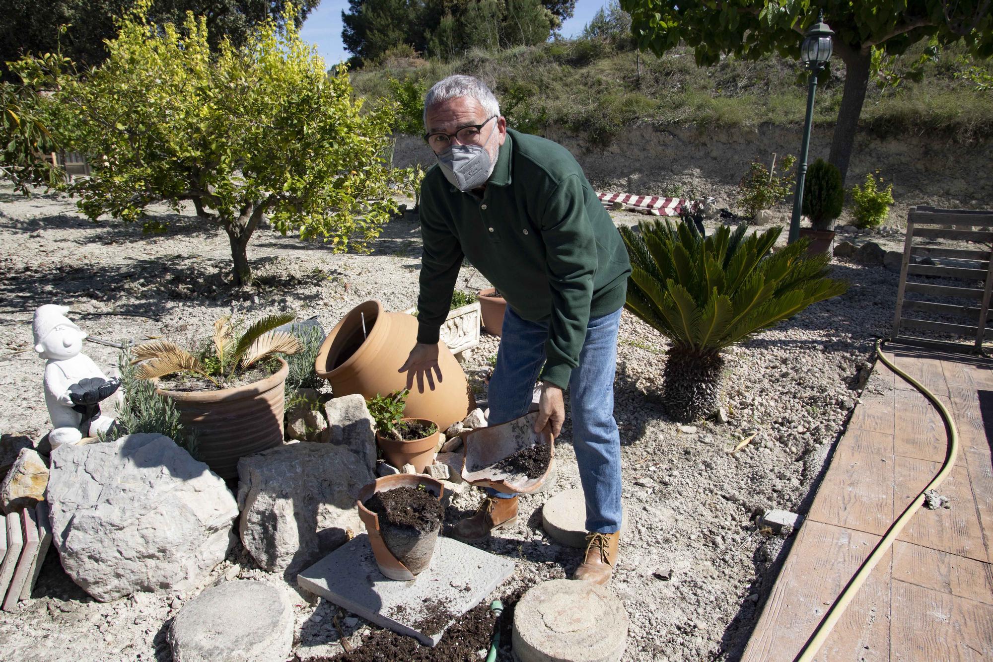 Los jabalíes destrozan parcelas de la urbanización Bixquert