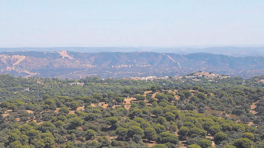 La futura ley de Montes adaptará los ecosistemas al cambio climático en Andalucía
