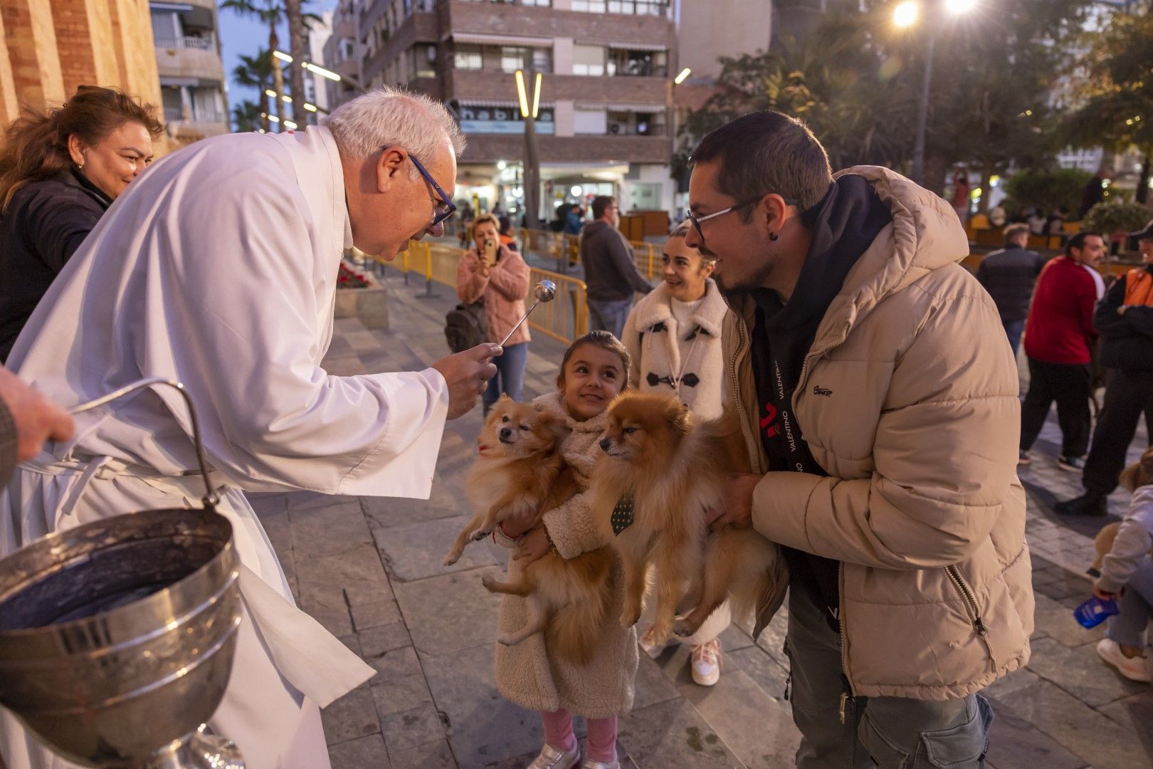 Así han recibicido la bendición perros, gatos y otra fauna doméstica el día de San Antón en Torrevieja