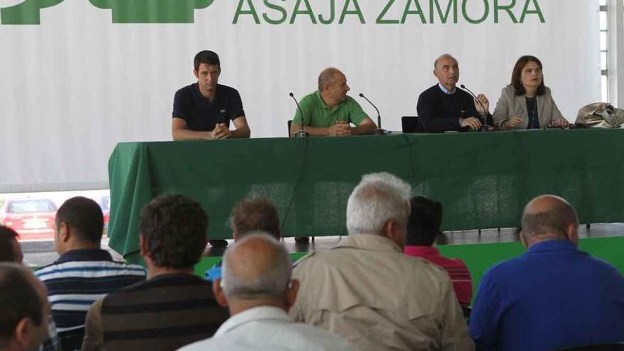 Imagen de archivo de una asamblea de Asaja Zamora.