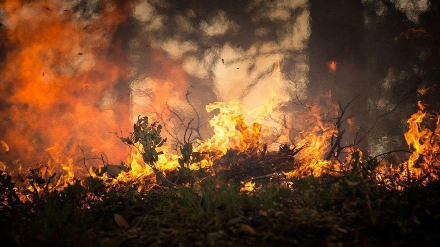 Importante movilización para sofocar un incendio forestal provocado por un rayo en Caudiel