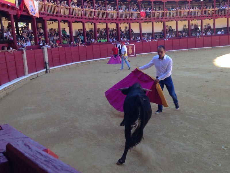 Fiestas en Toro | Becerrada de las peñas