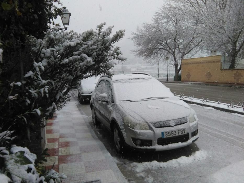 Nieve en Alcaucín