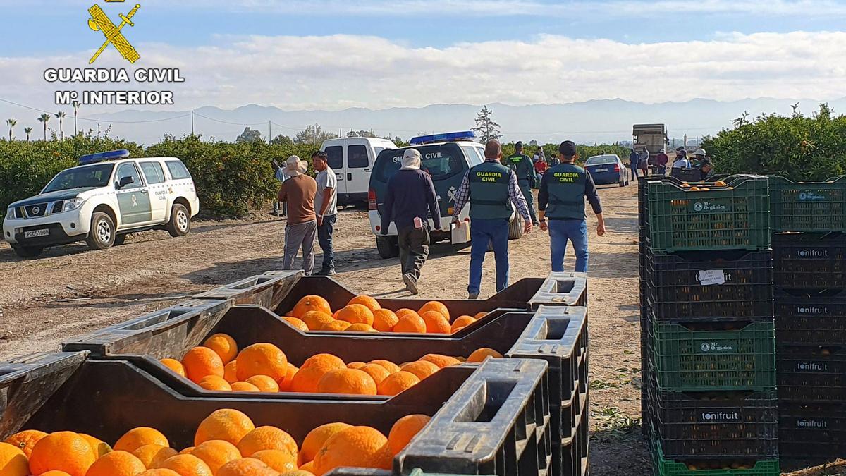 Investigan una decena de delitos de explotación laboral