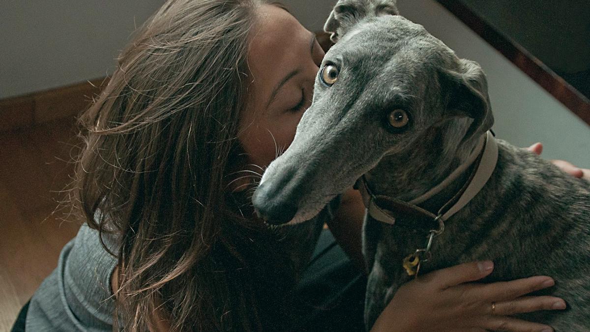 Los galgos y podencos constituyen una raza que cada vez es tenida más en cuenta a la hora de una adopción. / El Blog de Neska