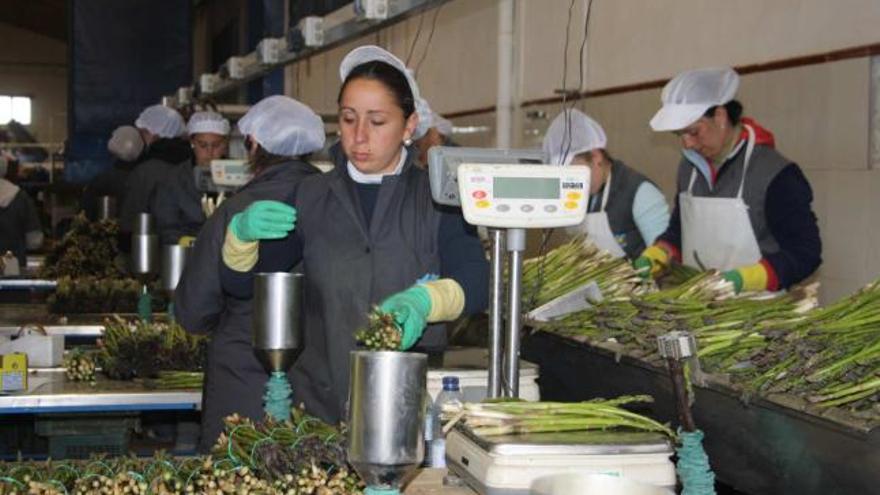 Empresa antequerana transformadora de alimentos.