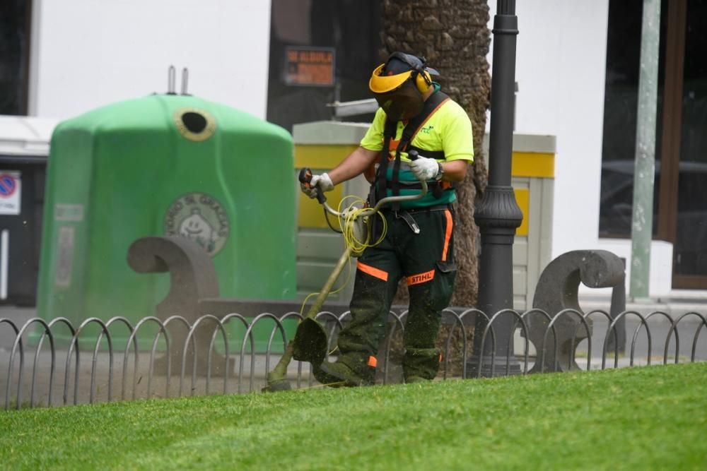 Personal de Parques y Jardines capitalino