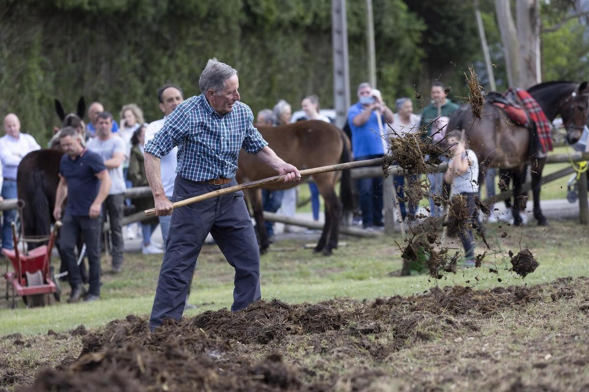 Un momento de la muestra de antigua labranza en una pasada edición de la cita.