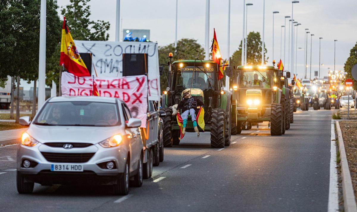 Tractorada en Crevillent y Elche