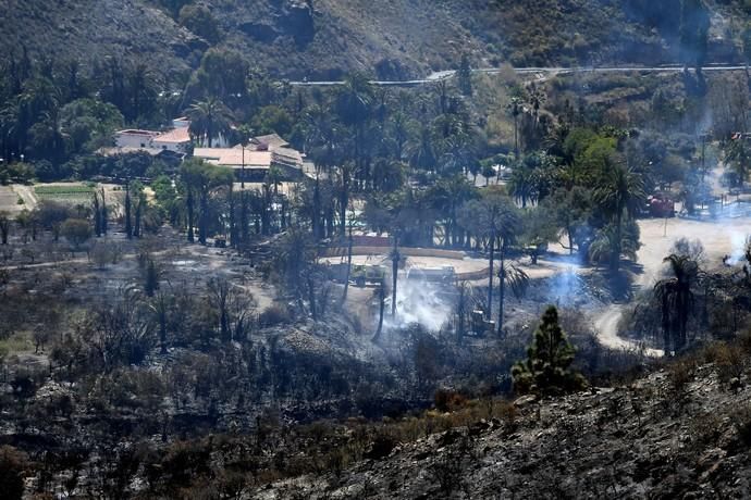 18/03/2019 FATAGA. SAN BARTOLOME DE TIRAJANA.  Incendio en Fataga, en la Finca Rural, Molino de Agua. Fotografa: YAIZA SOCORRO.  | 18/03/2019 | Fotógrafo: Yaiza Socorro