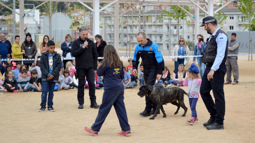 Exhibició de gossos policia