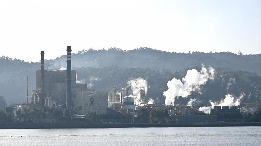 Ence reforzará la elaboración en Lourizán de productos celulósicos especiales “de la más alta calidad”