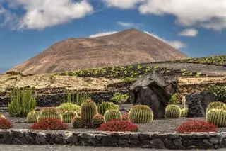 La bodega más antigua de Canarias tiene 250 años y está ubicada en un Parque Natural declarado Paisaje Protegido