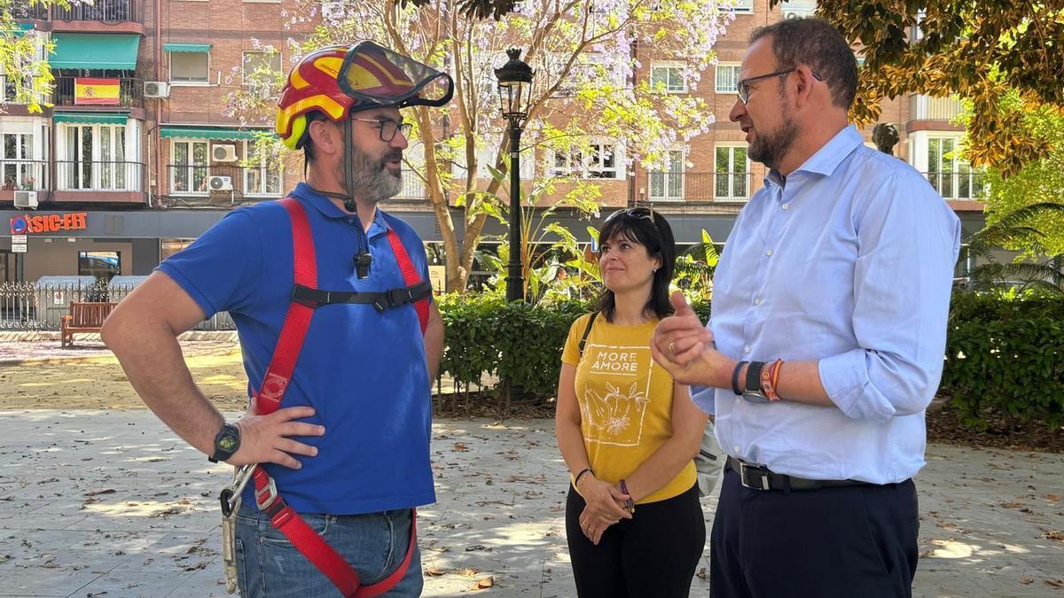 El concejal José Guillén supervisa la inspección de los ficus en el Jardín de Floridablanca