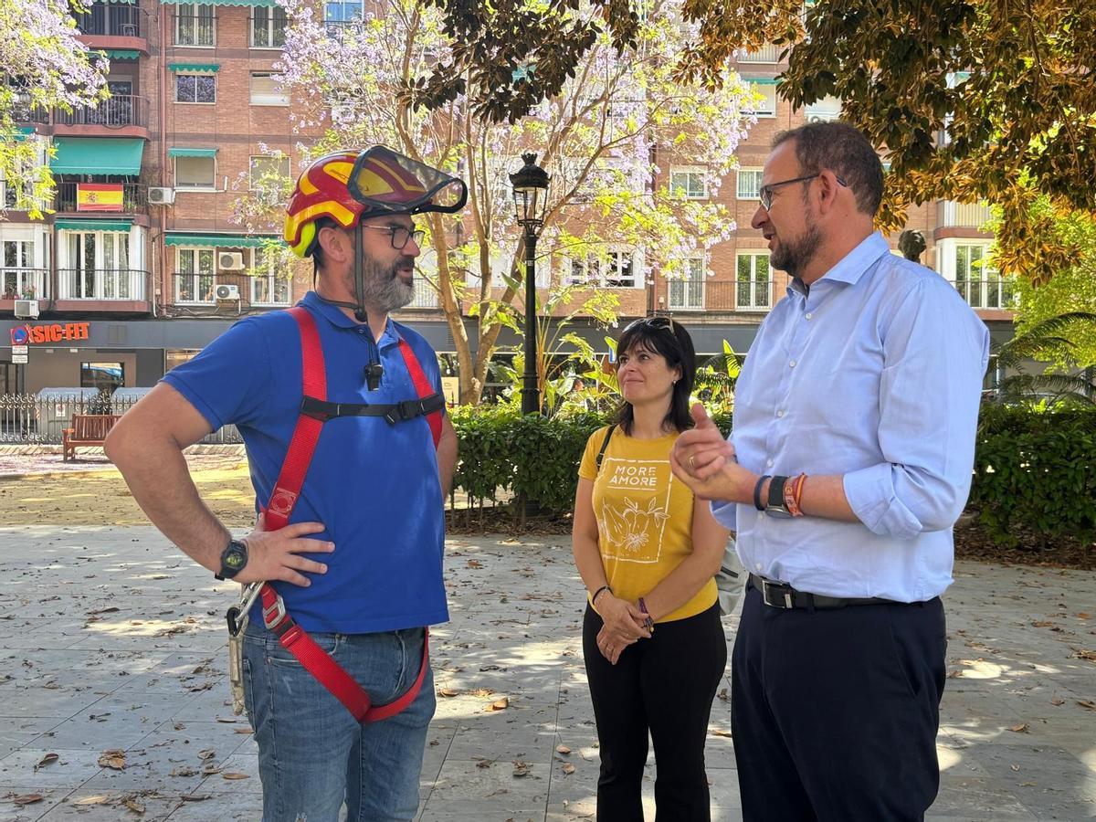 El concejal José Guillén supervisa la inspección de los ficus en el Jardín de Floridablanca