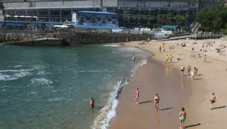 Los peligros de las playas de A Coruña: cortes y picaduras