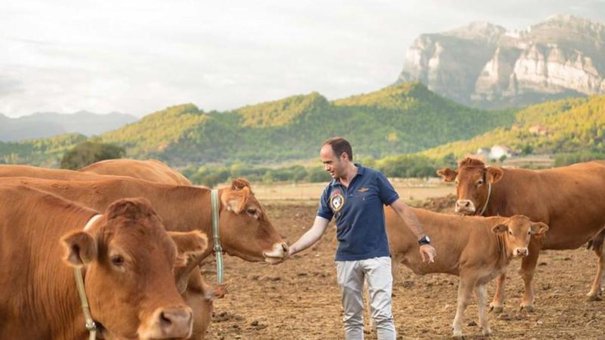 La aragonesa Carnísima entra en concurso y cierra casi toda su red comercial