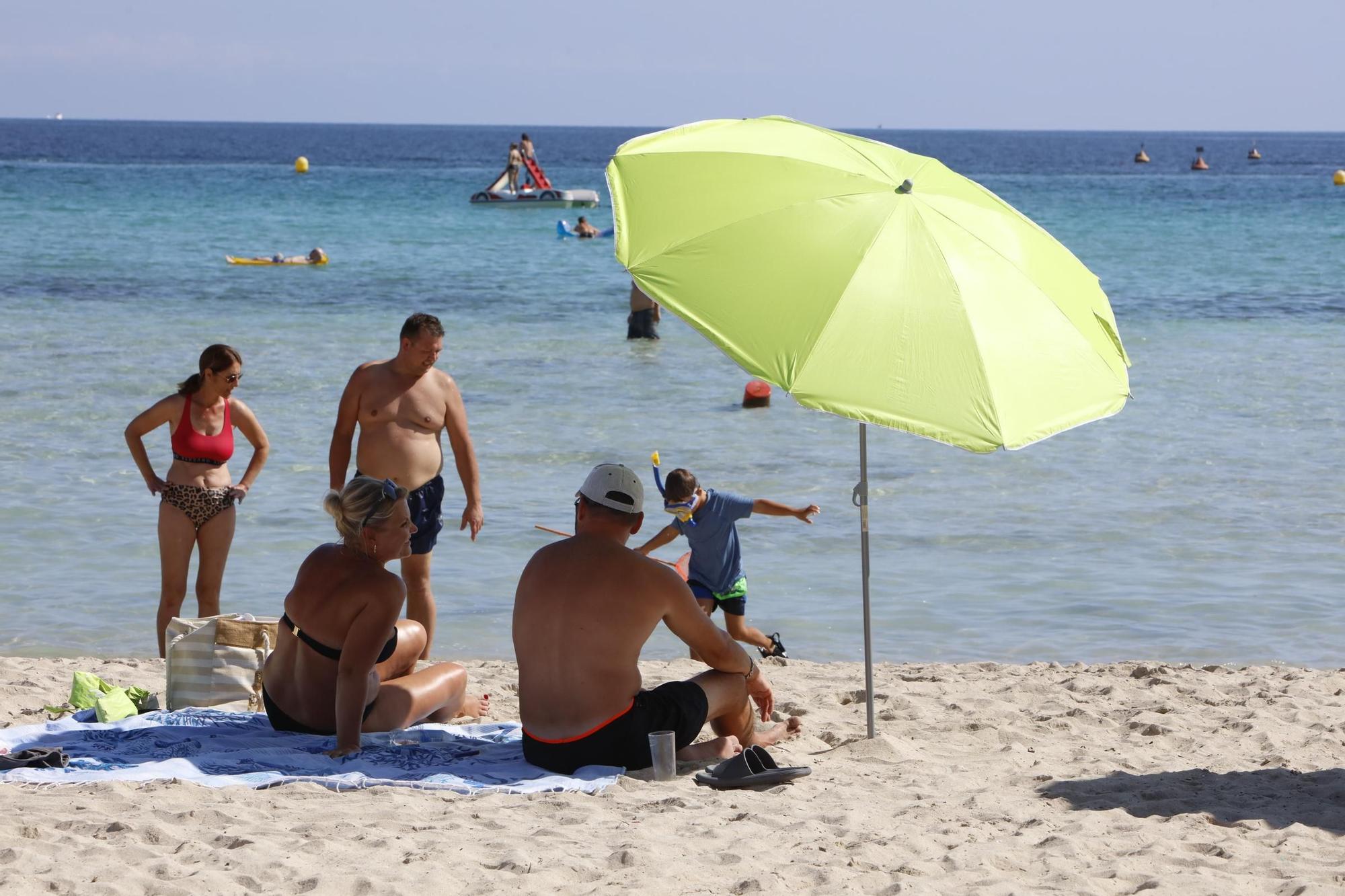 Sommer-Urlaub im Oktober: So sieht es derzeit am Strand von Alcúdia auf Mallorca aus