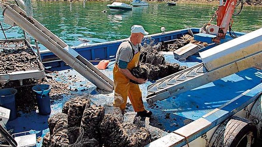 Balseiro y Tabuyo se acusan de enfrentar al sector bateeiro con la Lei de Pesca