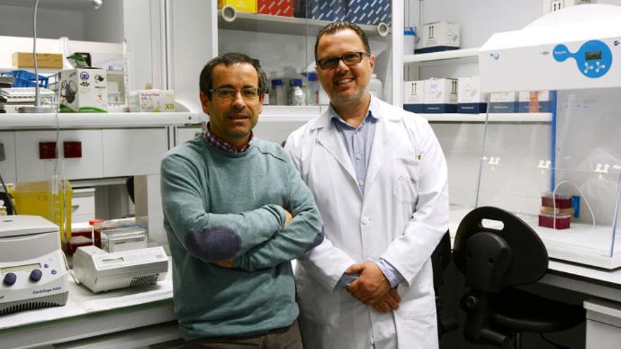 Científicos gallegos prueban la existencia de &quot;supercontagiadores&quot; del coronavirus